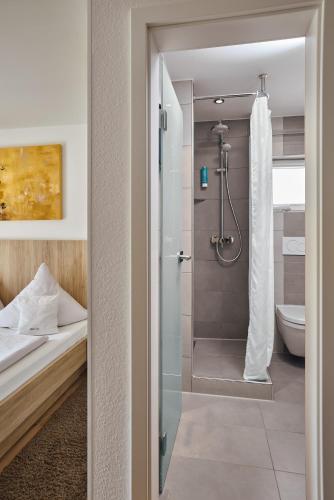 a bathroom with a shower and a toilet at Iris am See garni in Radolfzell am Bodensee