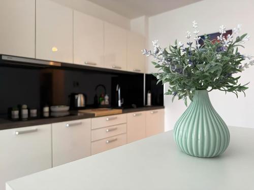 Sagitta apartment