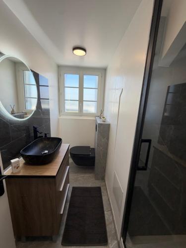 a bathroom with a sink and a toilet and a mirror at Le Cygne 2eme etage in Avranches