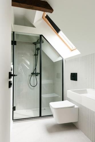 a bathroom with a shower and a toilet and a sink at Flowers House Sibiu in Sibiu