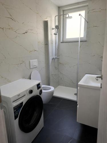 a washing machine in a bathroom with a toilet at Apartman Tea in Pićan