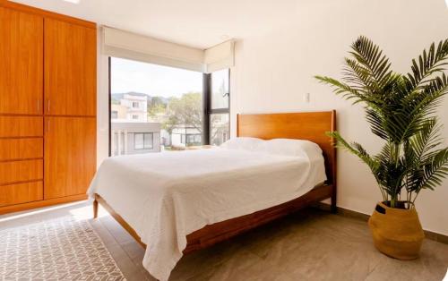 a bedroom with a bed and a potted plant at CASA CON JACUZZI PRIVADO PARA 6 personas in Tequisquiapan