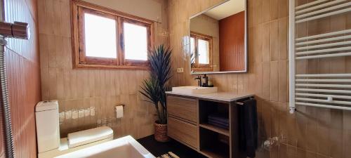 a bathroom with a sink and a toilet and a mirror at Casa Las Picoteras in La Estación