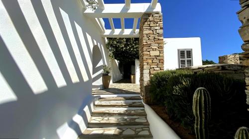 Villa Xenoulya in Paros