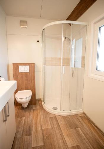 a bathroom with a shower and a toilet at Apartment Forstsee Ruhepol in Techelsberg am Worthersee