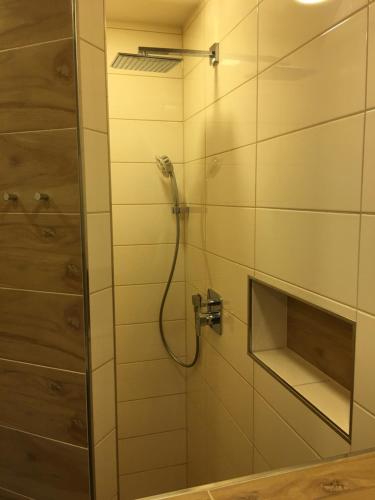 a bathroom with a shower with a glass door at Large Wuerzburg Apartment in Würzburg