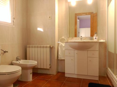 La salle de bains est pourvue d'un lavabo, de toilettes et d'un miroir. dans l'établissement Hostal Restaurante "El Cercao", à Saúca