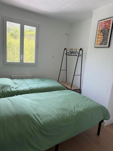 a bedroom with two green beds and a window at Appartement refait dans ancien hôtel restaurant in Saint-Uze