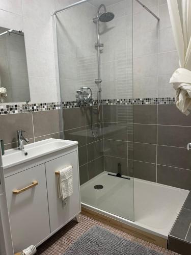 a bathroom with a shower and a sink at Maison de Village in Leuglay