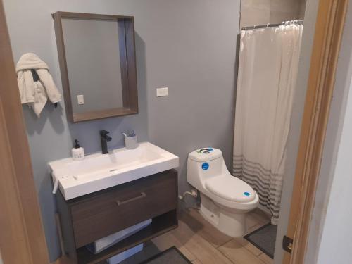 a bathroom with a sink and a toilet and a mirror at Quinta Temiki in San Pedro Masahuat
