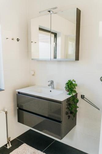 a bathroom with a sink and a mirror at Vakantiehuis dicht bij het strand in Ouddorp
