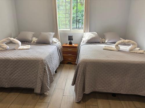 a bedroom with two beds with white blankets and a window at Quinta Temiki in San Pedro Masahuat