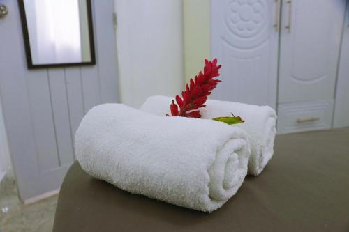 a towel bowl with a plant in it on a table at Harmonia - Sunbeha resort, Juan Dolio in Juan Dolio