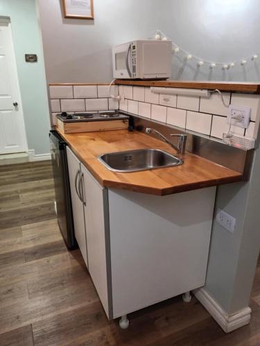 a kitchen with a sink and a microwave at Buenavida Guesthouse in Ushuaia