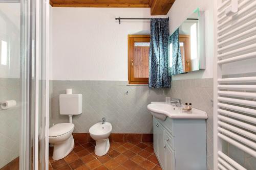 a bathroom with a toilet and a sink at Chez Duclos Bionaz in Bionaz
