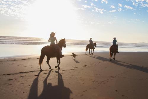 tres personas montando caballos en la playa con un perro en Hotel Playa Bejuco, en Esterillos Este