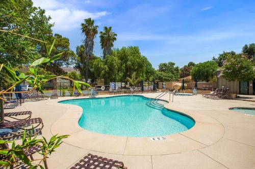a large swimming pool with chairs and trees at Ranch House at Galway Downs in Temecula