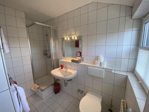 a bathroom with a toilet and a sink at Gut Ahe Landgasthof Cafe Event in Kirchhundem