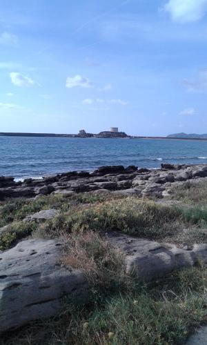 a large body of water with rocks and grass at Alma Bed & Breakfast in Sennariolo