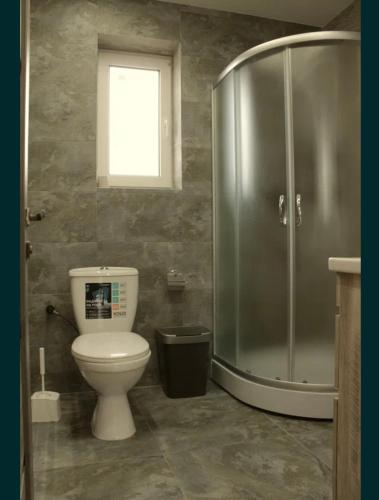 a bathroom with a toilet and a shower at vaav house in Tyudov