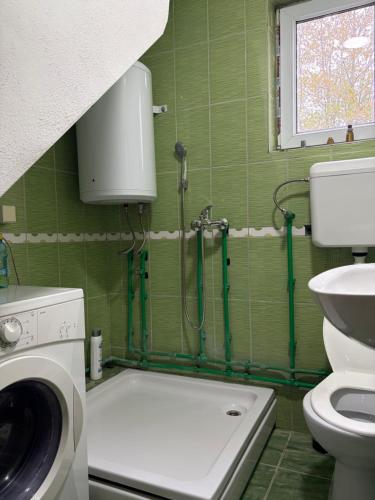 a green bathroom with a toilet and a washing machine at Vrba in Gacko