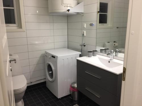 a bathroom with a washing machine and a sink at Superior Cottage with Sea View in Senja in Senjehesten