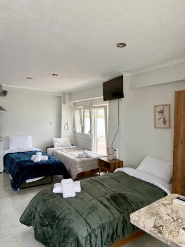 a bedroom with two beds and a television in it at Villa Athina C in Serres