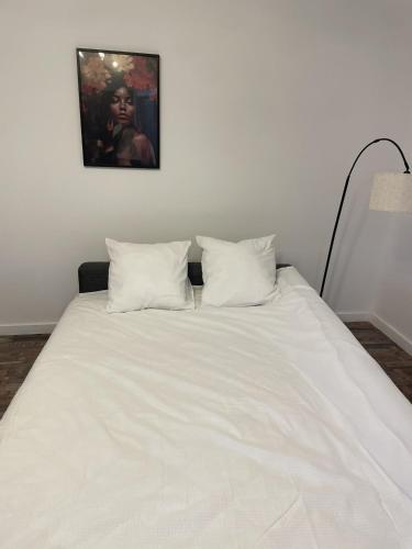 Appartement Climatisé près du centre de Montpellier