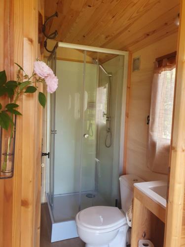 a bathroom with a shower and a toilet and a sink at Roulotte bohème in Chazelles