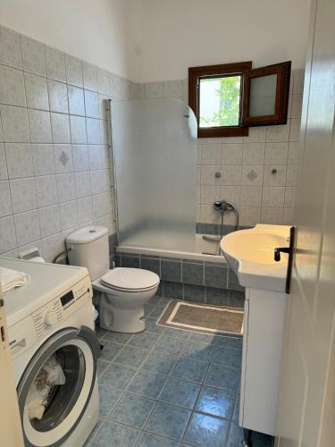 a bathroom with a toilet a sink and a washing machine at Limnes Seaside Combo in Ligaridia