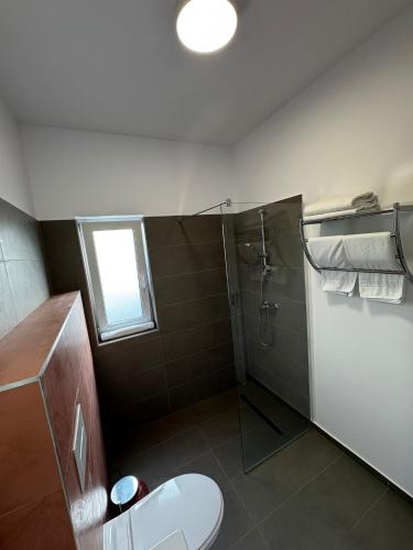 a bathroom with a shower and a toilet and a window at VISAJ Escape in Timişoara