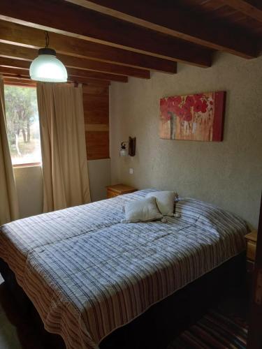 a bedroom with a bed with a blue blanket and a window at CABAÑAS ALMA SERENA in Capilla del Monte