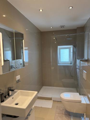 a bathroom with a sink and a toilet and a shower at Luxe Apartment am Rhein in Worms