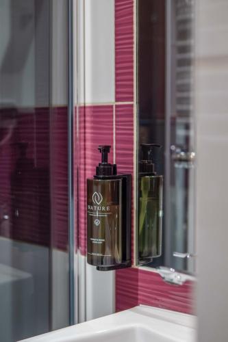 a bathroom sink with a soap dispenser on a mirror at Willa na Olczańskim Wierchu - apartamenty i pokoje in Bukowina Tatrzańska