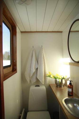 a small bathroom with a toilet and a sink at Saimaa Experience - laivamajoitus in Puumala