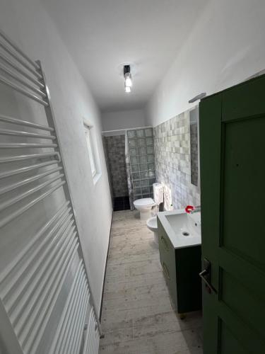 a bathroom with a toilet and a sink at La Paramon ! in Sângeorz-Băi