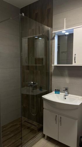 ein Badezimmer mit Glasdusche und Waschbecken in der Unterkunft Hotel Bella Donna in Kumanovo