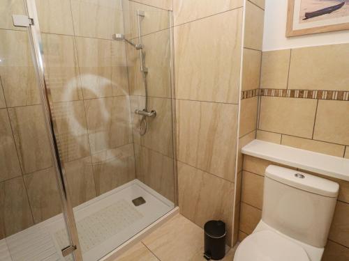 a bathroom with a shower and a toilet at Apartment 1 Llewellan in Carbis Bay