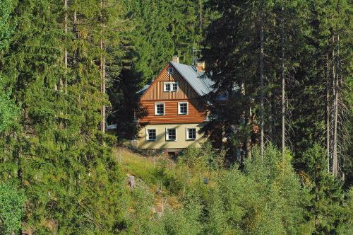 una casa en una colina en medio de un bosque en Vila Eden, en Pec pod Sněžkou