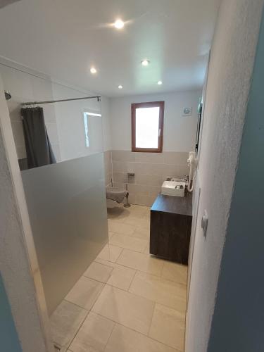 a bathroom with a glass shower and a sink at Ranch du pont urgin in Planrupt