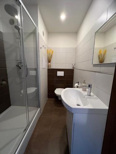 a bathroom with a sink and a shower and a toilet at Apartmán Třinec in Třinec
