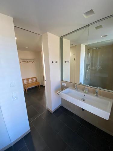 a bathroom with a sink and a large mirror at Sonnenchalet in Bodman-Ludwigshafen