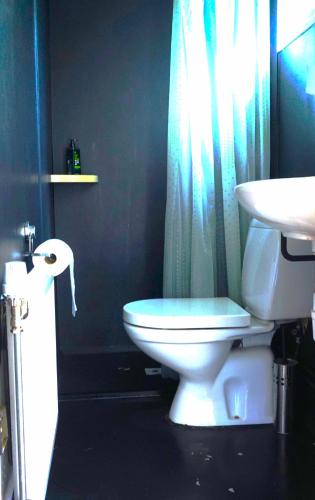a bathroom with a toilet and a sink at 't Veldhuisje 110 - naast het bos, honden toegestaan in Anloo