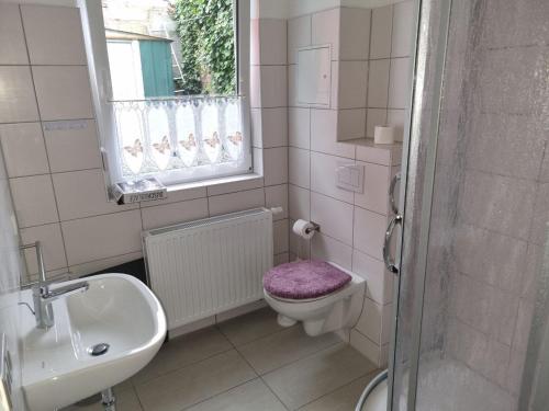 a bathroom with a toilet and a sink and a window at Ferienwohnung Pasewalk Zentrum in Pasewalk