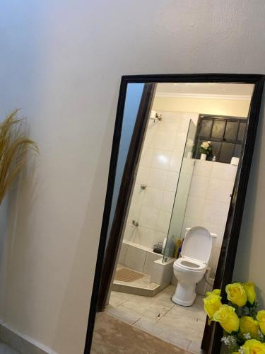 a bathroom with a toilet and a mirror at Ruaka Karington Studio in Ruaka