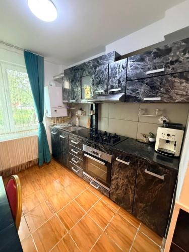 Gallery image of Apartament Iasmina in Petroşani