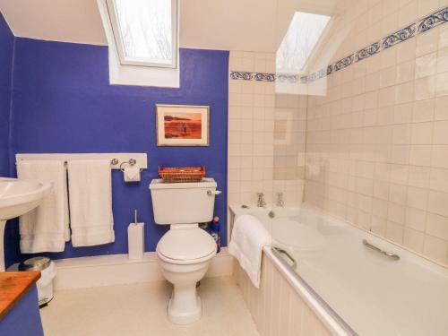a bathroom with a toilet and a tub and a sink at Whitefield Cottage in Barnstaple
