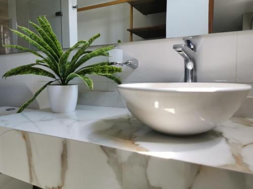 a bathroom with a sink and a plant on a counter at Fontamar 43 in Barranquilla