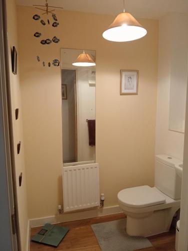 a bathroom with a toilet and a mirror at Little Paradise Marlborough in Marlborough