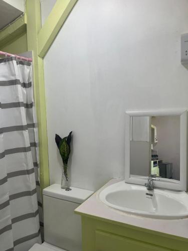 a bathroom with a sink and a toilet and a mirror at CJ's Creole Hideaway in Castries